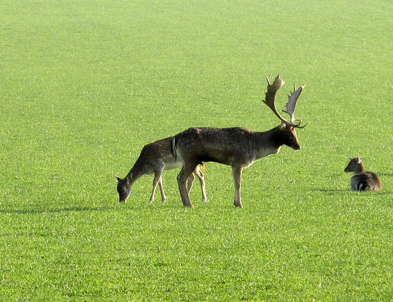 2011-10-31, Malerweg (65).JPG